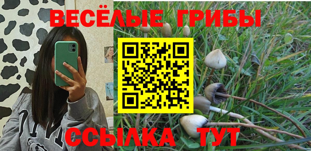 Псилоцибиновые грибы мицелий  Вход с VPN  наркотики  Мурманск  Галлюциногенные грибы Psilocybine cubensis 