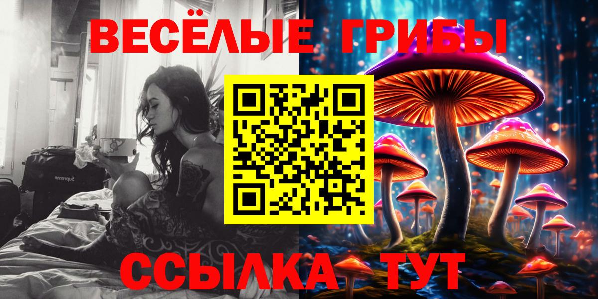 Псилоцибиновые грибы прущие грибы Мурманск